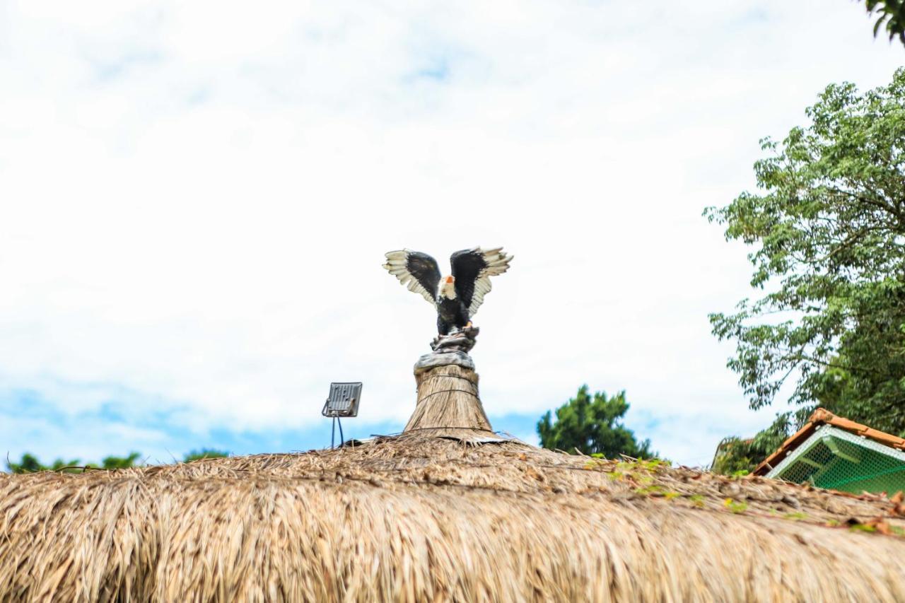 Pousada Mama Africa Conservatória Kültér fotó